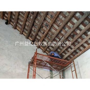 仙村房屋（wū）白蟻防治工程