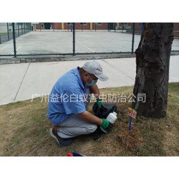 永和中學防治紅（hóng）火蟻