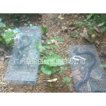小樓鎮（zhèn）捕（bǔ）蛇抓蛇案例
