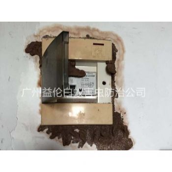 石灘防治電箱（xiāng）白蟻（yǐ）蟻害