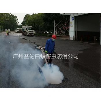 三江（jiāng）街道消（xiāo）殺蟑螂蚊蠅