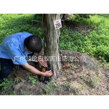 中新（xīn）園林綠化滅治白蟻