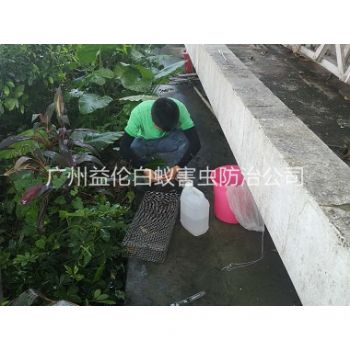 鎮龍蟲控站進行捕蛇（shé）