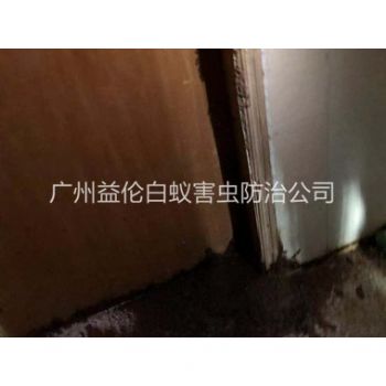 沙埔倉庫蟻害防治