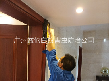 正果房（fáng）屋治白蟻工程