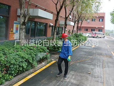 鎮龍環境蚊蠅防控工（gōng）程