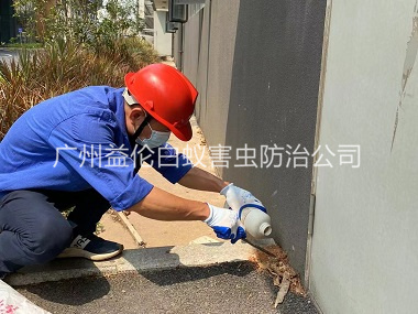 仙村紅火（huǒ）蟻防治工程