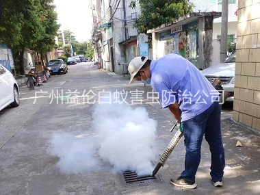 增城登革熱消殺（shā）工程