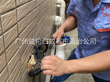 朱村建築滅治（zhì）白蟻工（gōng）程