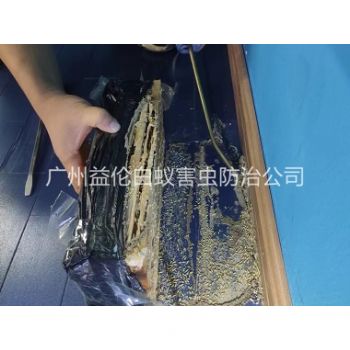 廣州體育（yù）館滅（miè）治白蟻工程