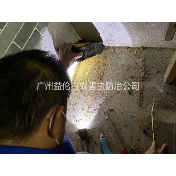 荔城房屋滅治白螞蟻
