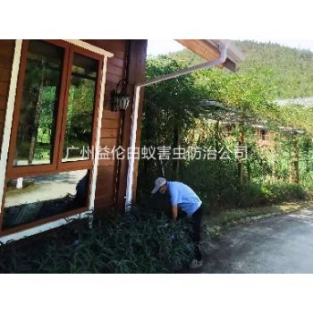 派潭農莊消滅（miè）老鼠蟲害
