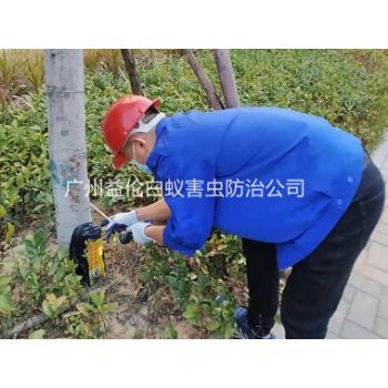 沙浦公園滅治白蟻工程