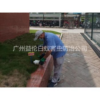 派潭校區滅紅火蟻