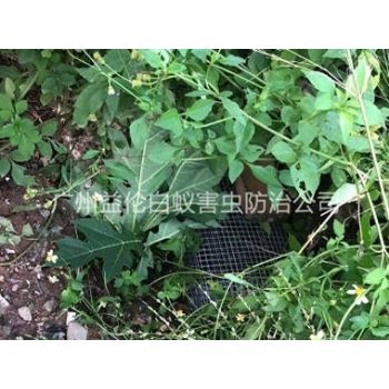 福和上門驅蛇防蛇