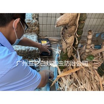 中新鎮白（bái）蟻危害（hài）防治（zhì）工程