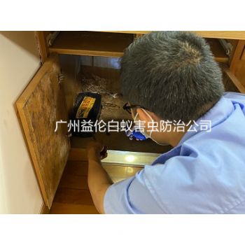 新塘亨（hēng）德琴苑滅治白蟻危害