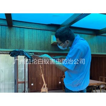 派潭（tán）上門治（zhì）白蟻危（wēi）害