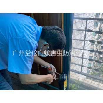新塘廣（guǎng）場小區白蟻滅殺（shā）