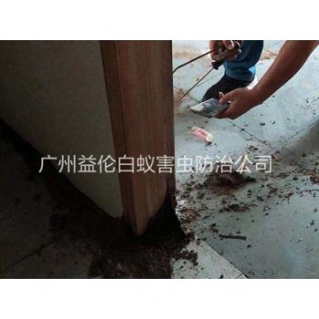寧西（xī）興景街房屋除白蟻