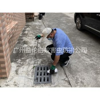朱村蚊蠅孳生地消（xiāo）殺