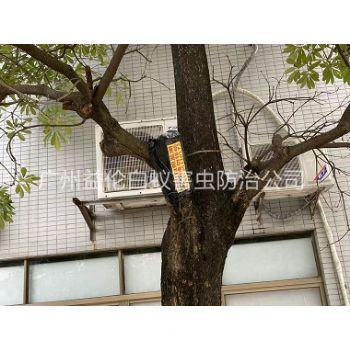 增城區（qū）園林白蟻防治
