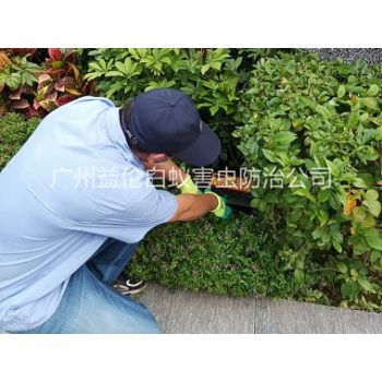 石（shí）灘綠化帶施藥滅鼠