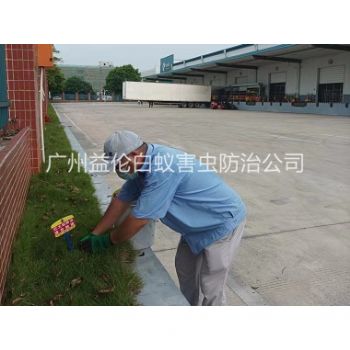 派潭企業殺除紅火蟻