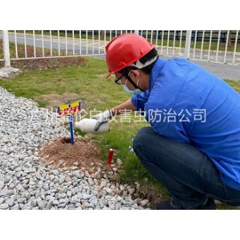 福和園區治紅火蟻