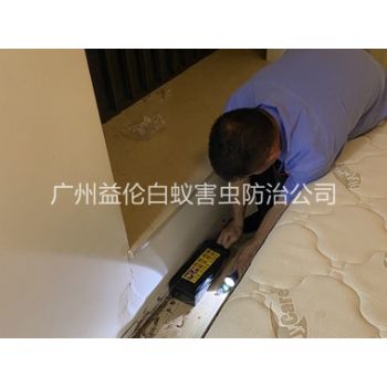 鎮龍家（jiā）居（jū）白螞蟻滅治（zhì）