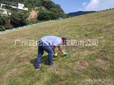 沙埔水利白蟻防治工程