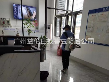 派潭室內消殺蚊蟲工程
