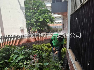 寧西抓蛇捕蛇工程