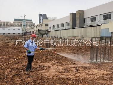 石灘新建白蟻預防工程