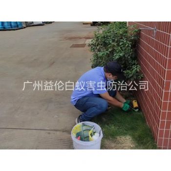 新塘布放（fàng）滅鼠（shǔ）屋工程